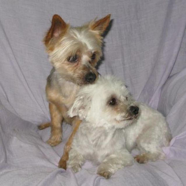 Photo of Bundy And Coda