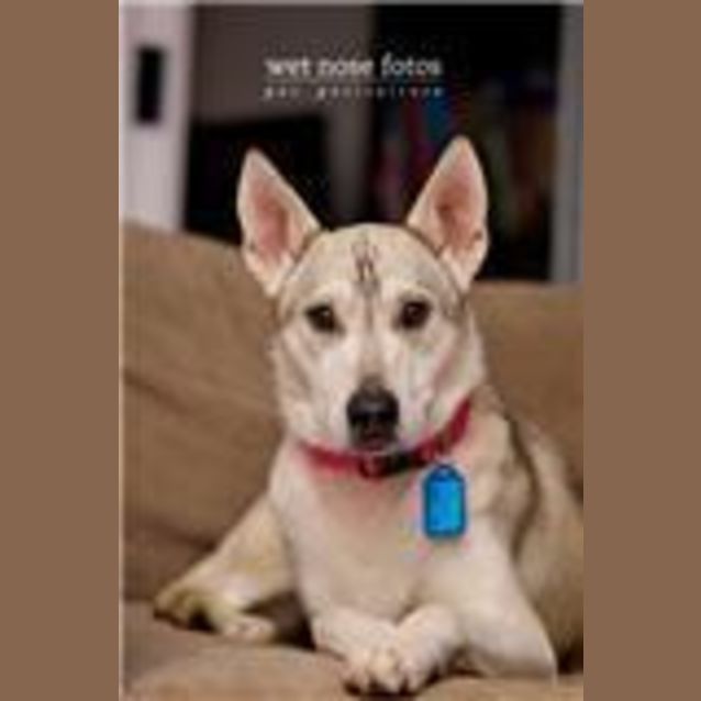 Photo of Zoya