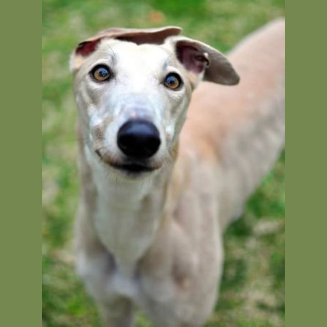 Photo of Sally