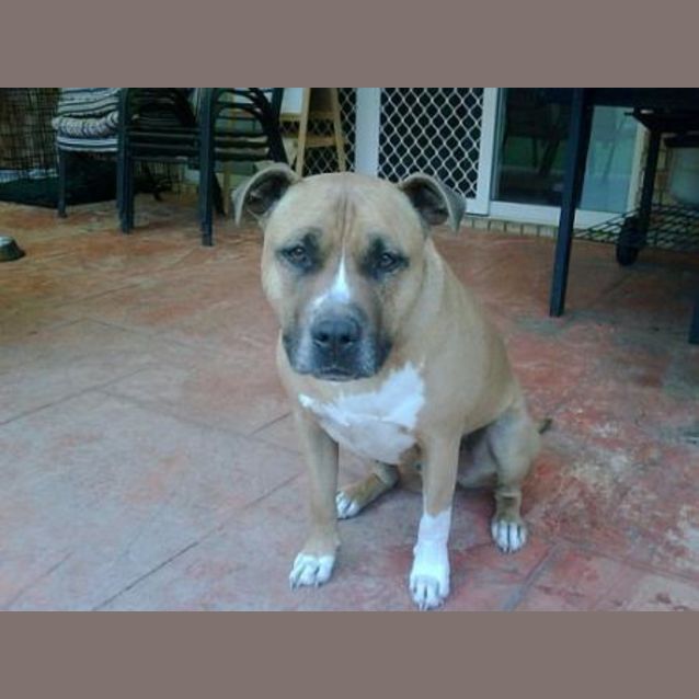 Photo of Jayla
