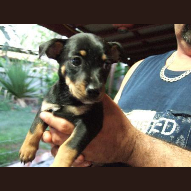 Photo of Coco