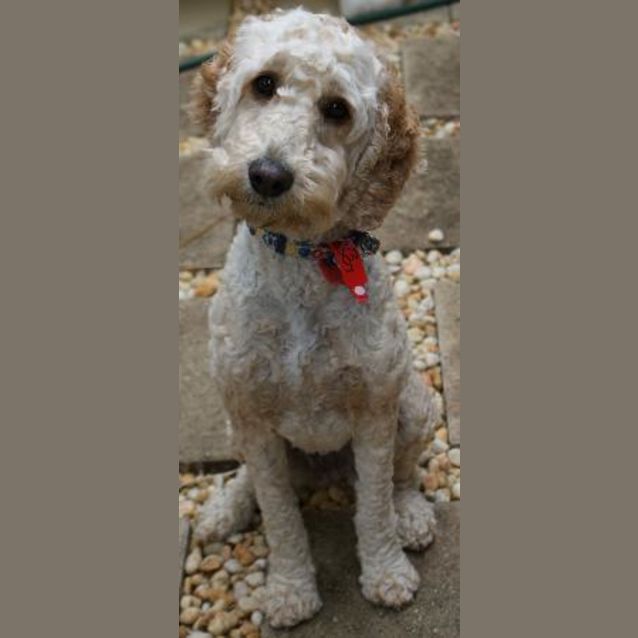 Photo of Holly