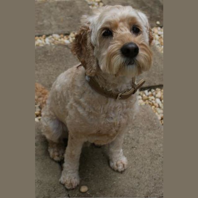 Photo of Max