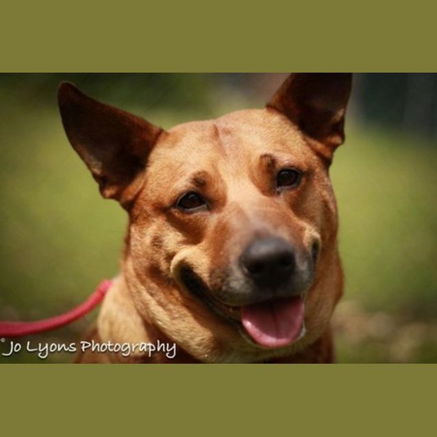 Photo of Sassie