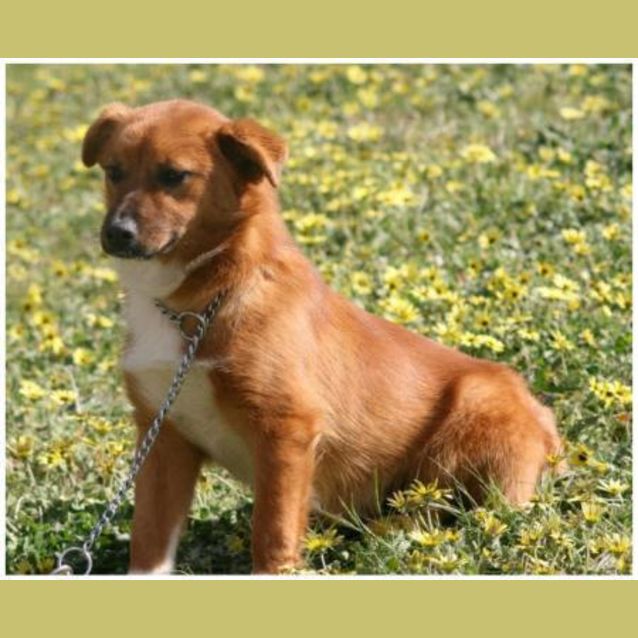 Photo of Terri   On Trial