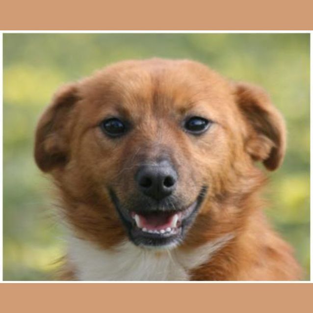 Photo of Terri   On Trial