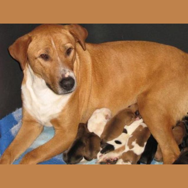 Photo of Annie (On Trial)