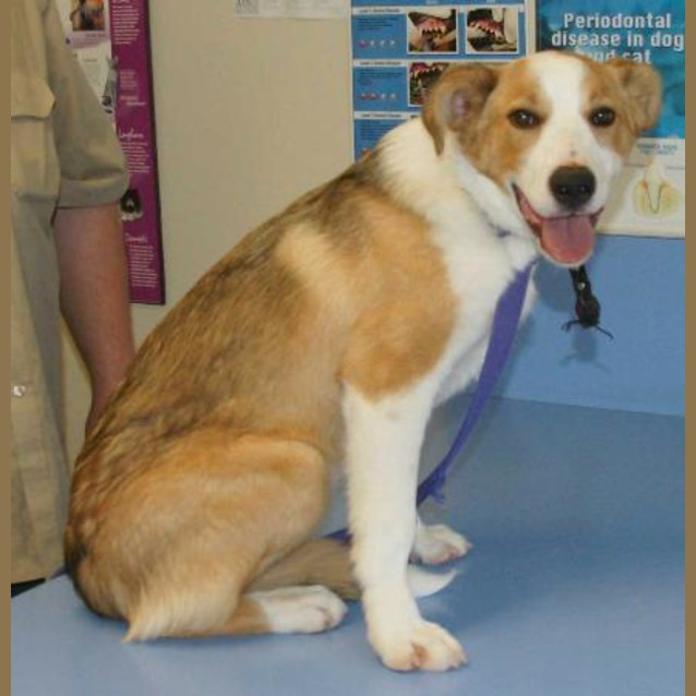Photo of Max