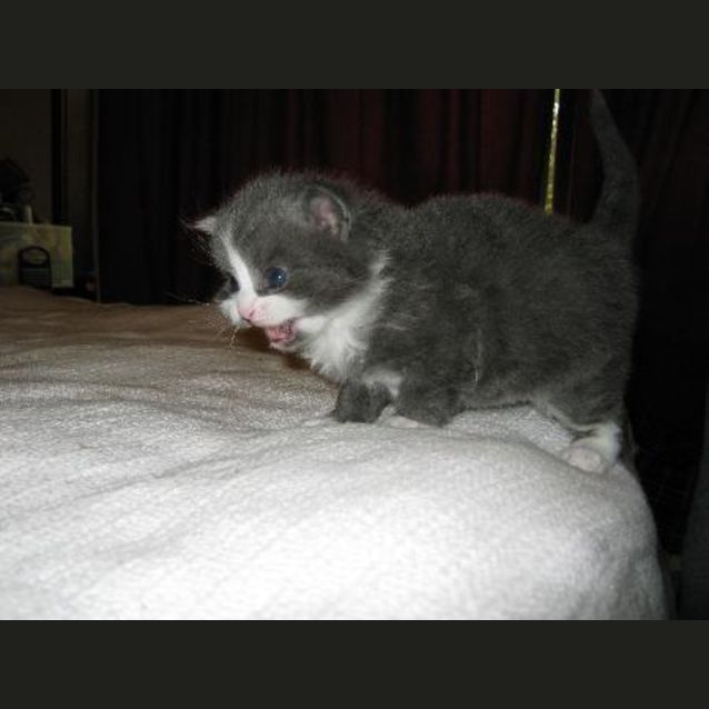 Photo of Brother Dumphrey