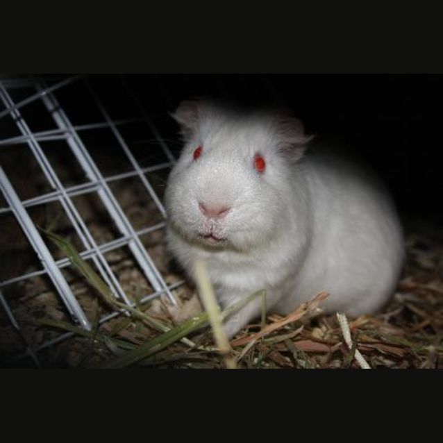 Photo of Fred