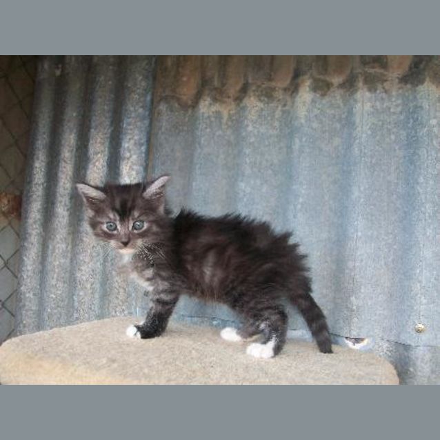 Photo of Floyd