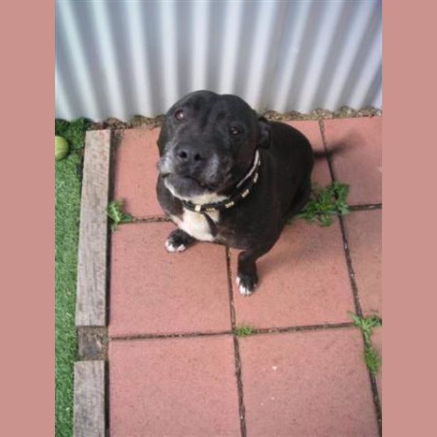 Photo of Jett