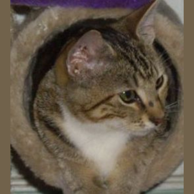 Photo of Mojo