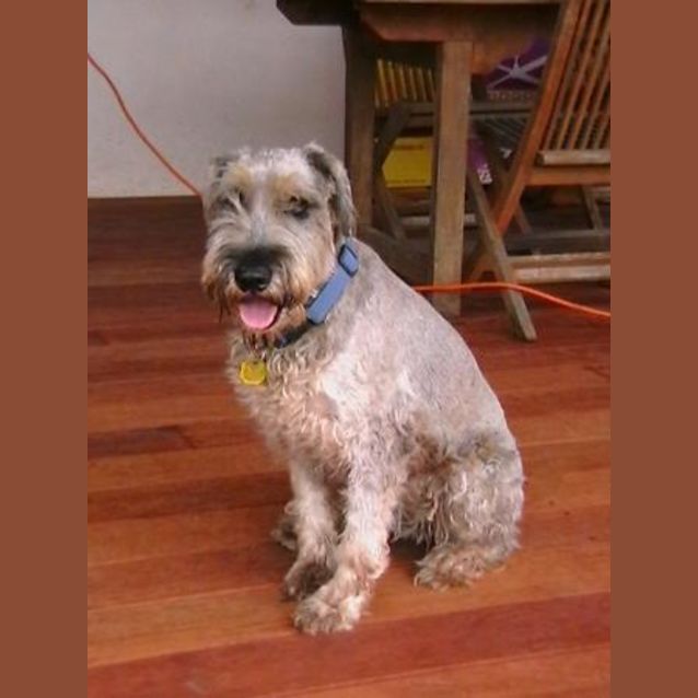 Photo of Bud