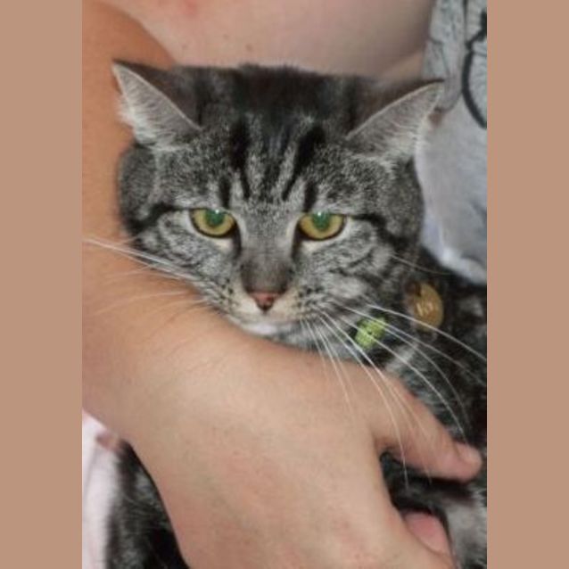 Photo of Lola (C1494a)