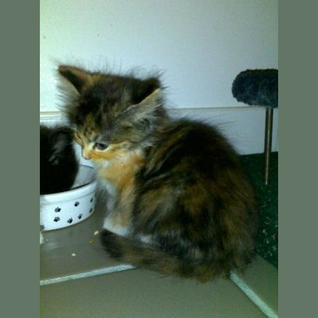 Photo of Ellie