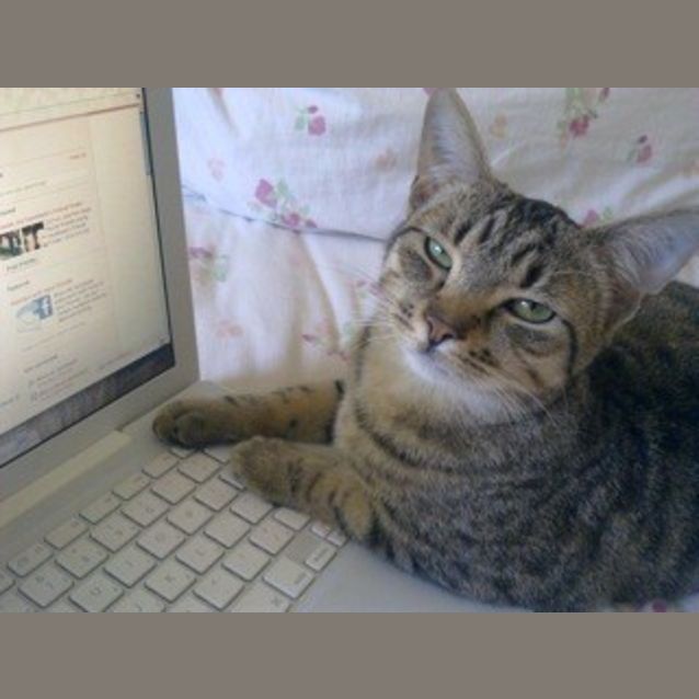 Photo of Missy