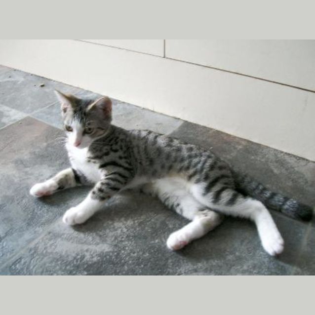 Photo of Kimeo
