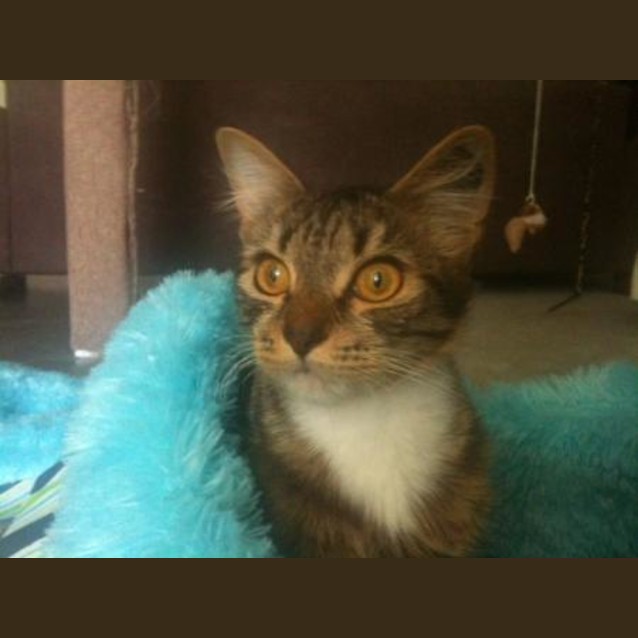 Photo of Abby