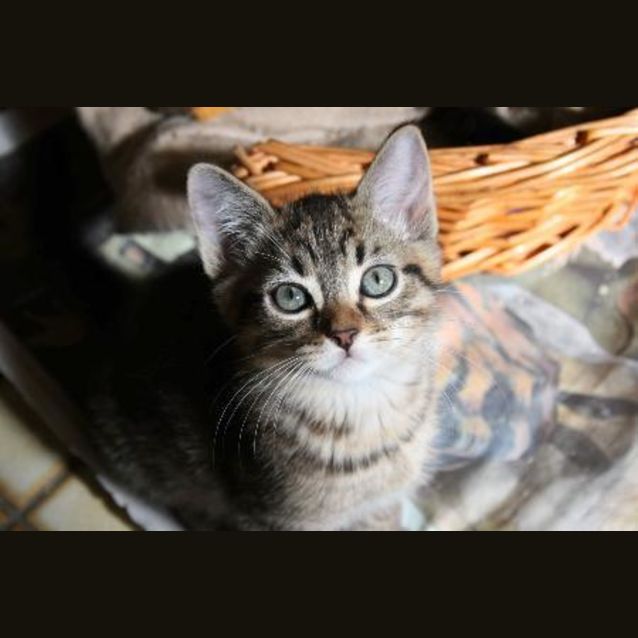 Photo of Tabitha