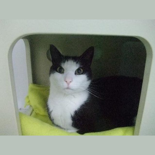 Photo of C5494