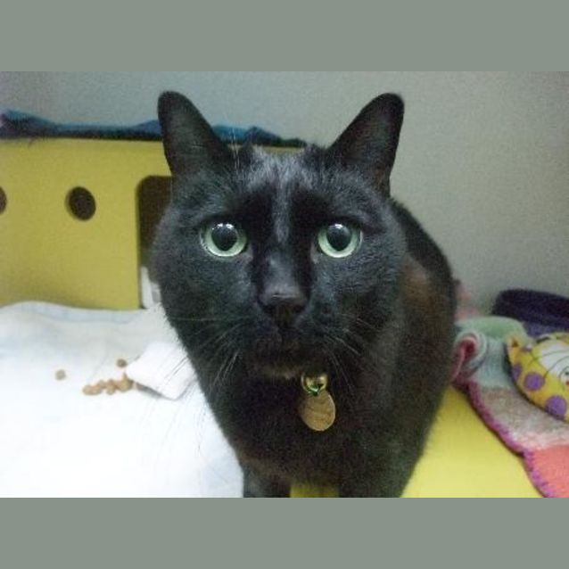 Photo of C5032