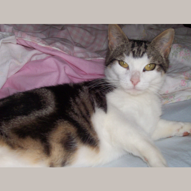 Photo of Priscilla