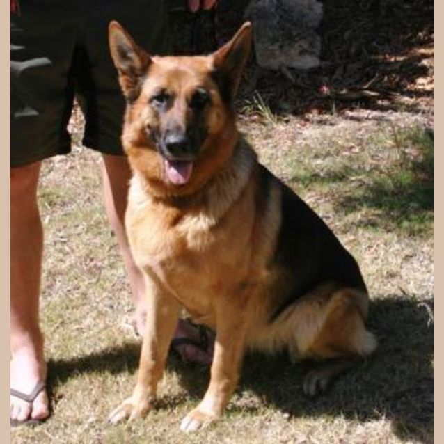 Photo of Bree