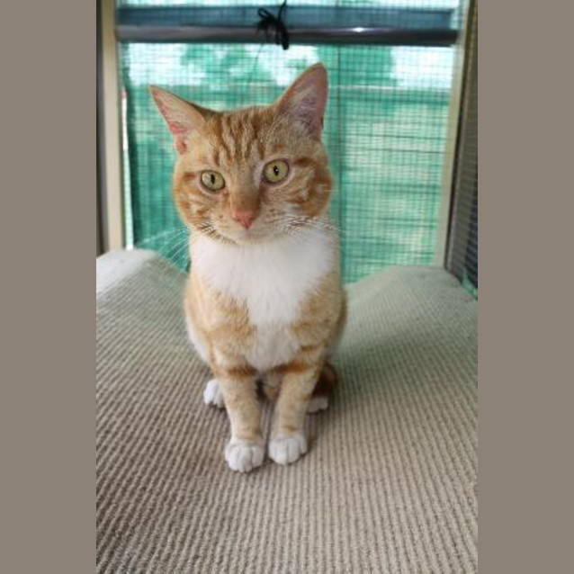 Photo of Meggsie