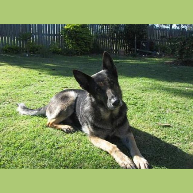 Photo of Tia