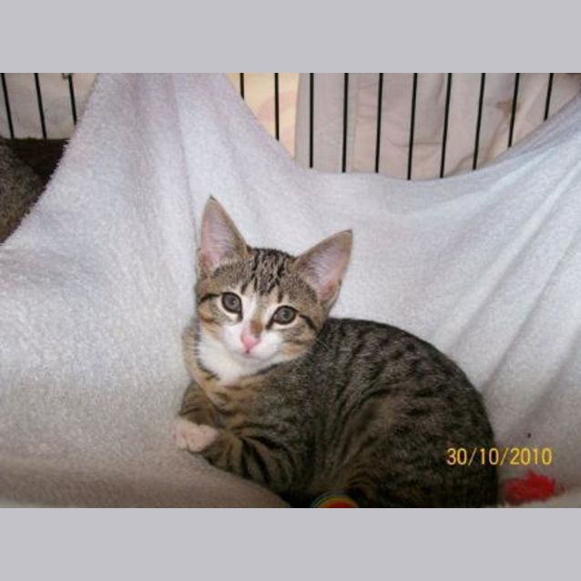 Photo of Fleur