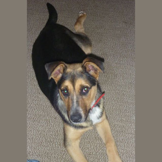 Photo of Talli