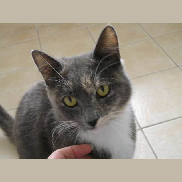 Photo of Jemima