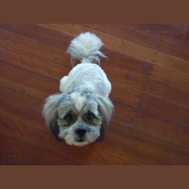 Photo of Charlie