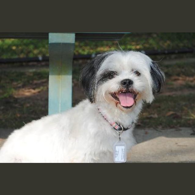 Photo of Mindy