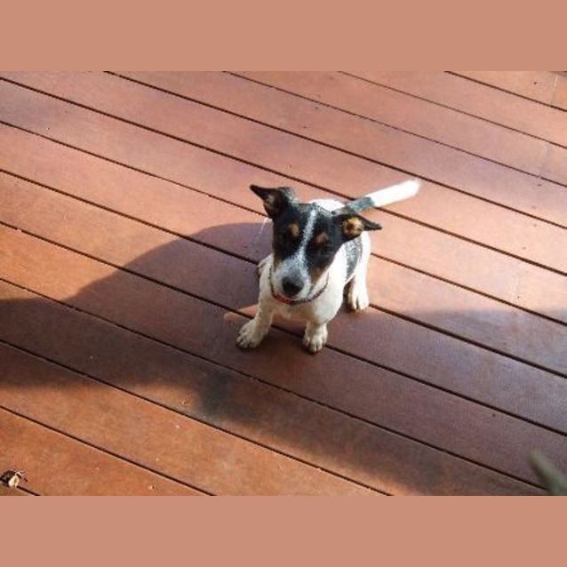 Photo of Bertie