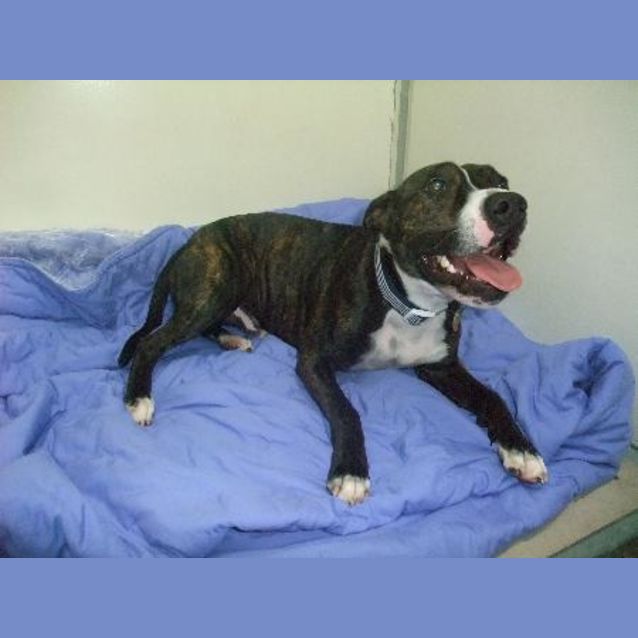 Photo of Thumper   A5770