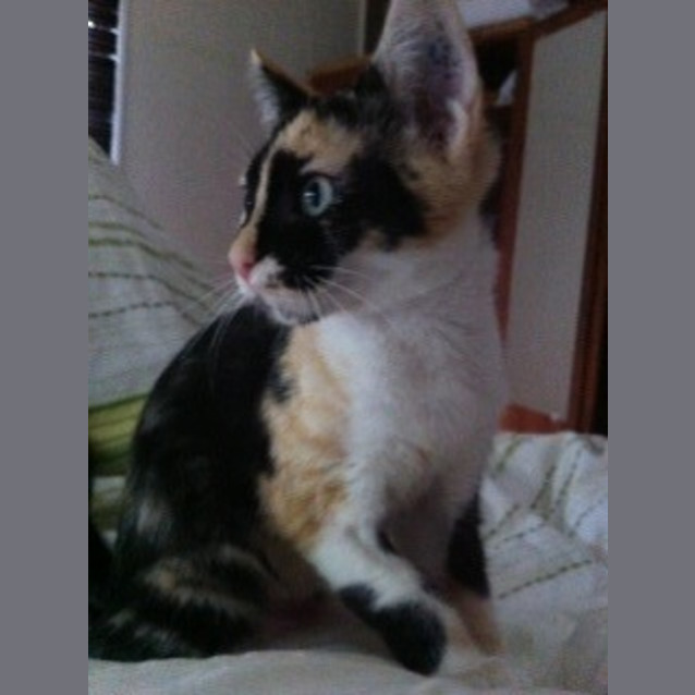Photo of Lara