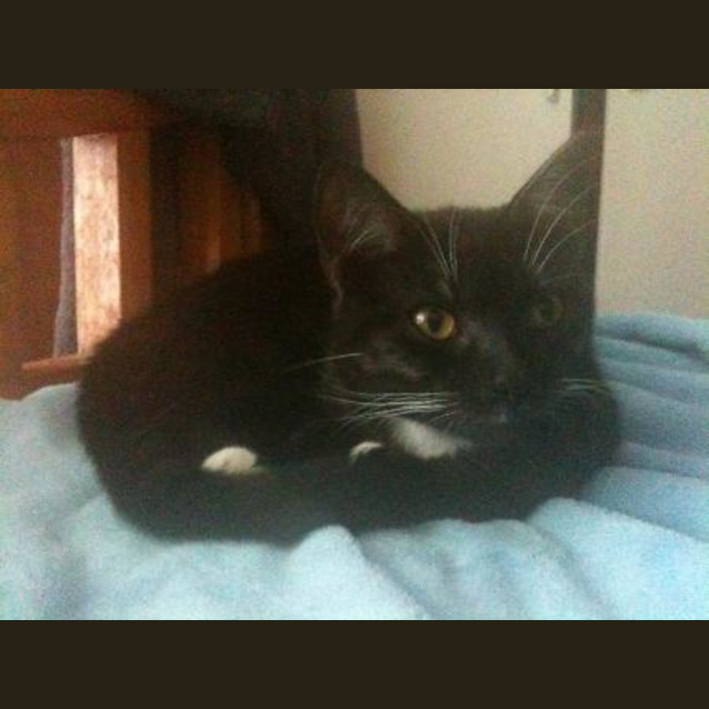 Photo of Suzi