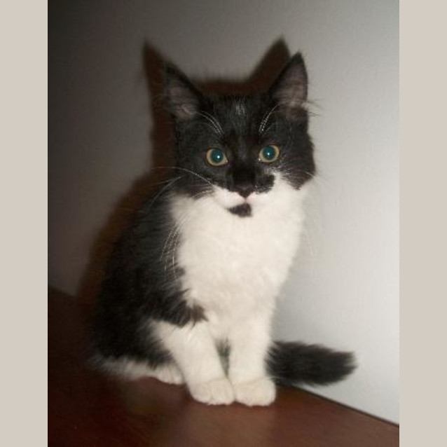 Photo of Vivi