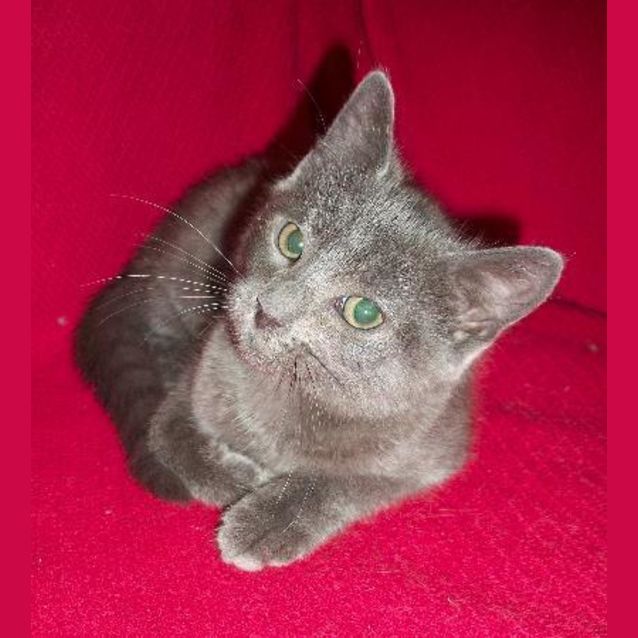 Photo of Thumper