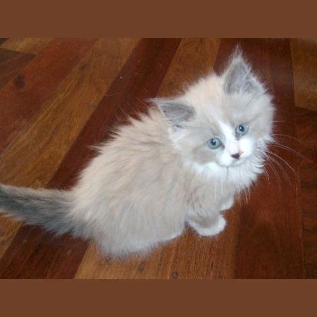 Photo of Loulou