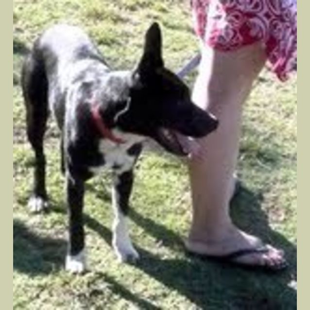 Photo of Roxy