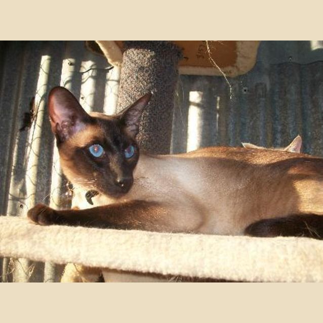 Photo of Casper
