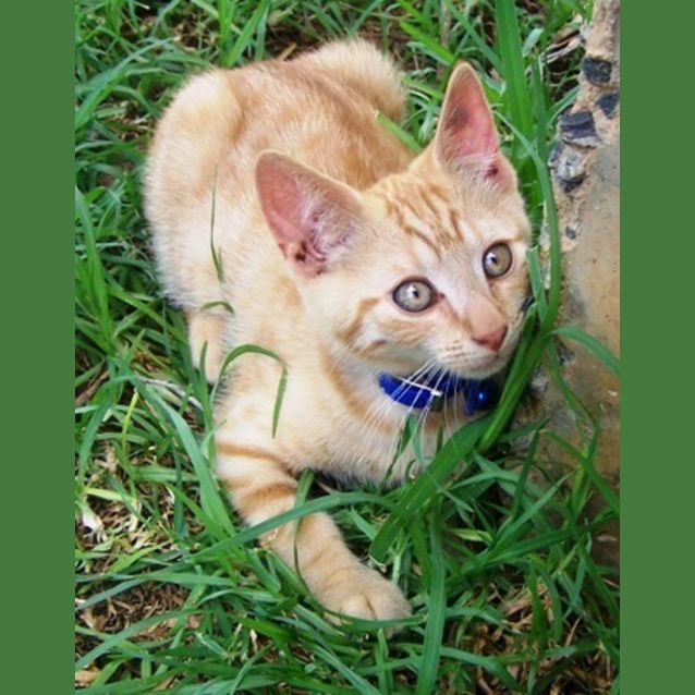 Photo of Muck