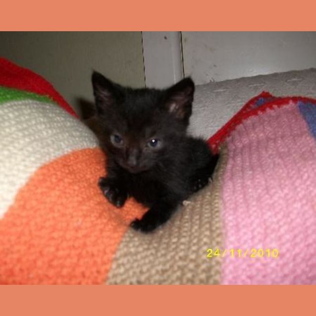 Photo of Sammy