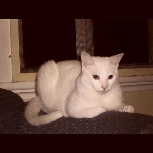 Photo of Jake