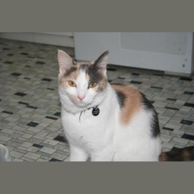 Photo of Mindy