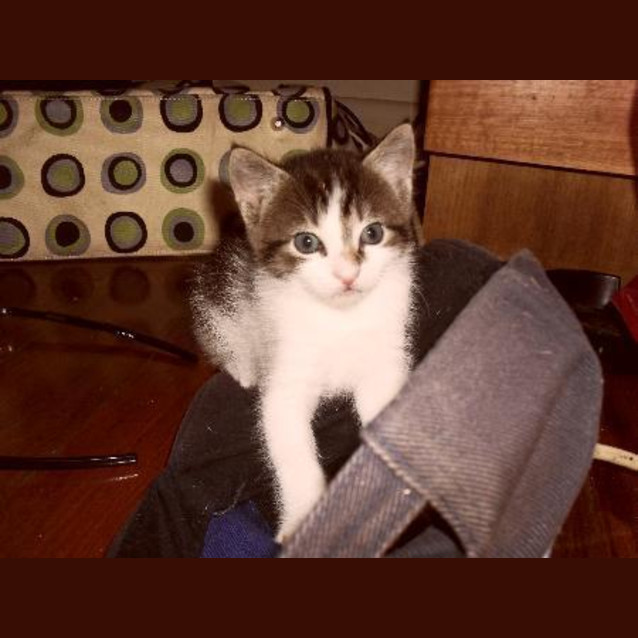 Photo of Zoe