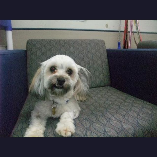 Photo of Thomas A5749